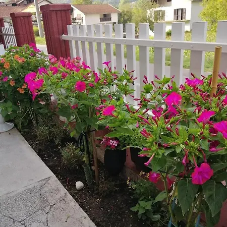 Διαμέρισμα Barbara