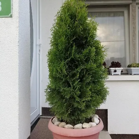 Barbara Διαμέρισμα *